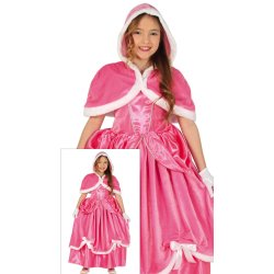 Vinter Prinsess kostym