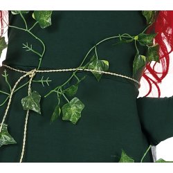 Poison Ivy Kostym