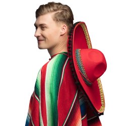 Sombrero Diego deluxe