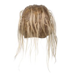 Latex Zombie Maske Grumble