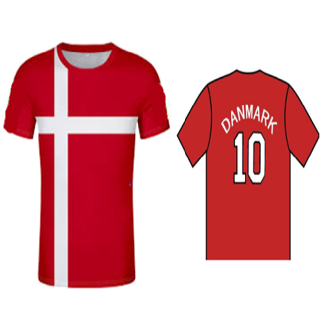 Danmark Tshirt | Køb Roligan Danmark