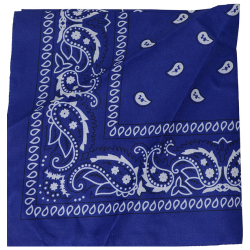 Cowboy bandana i bl