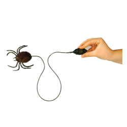 Hoppande spindel-skmt