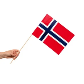 Papirflag p pind 10 stk - Norge