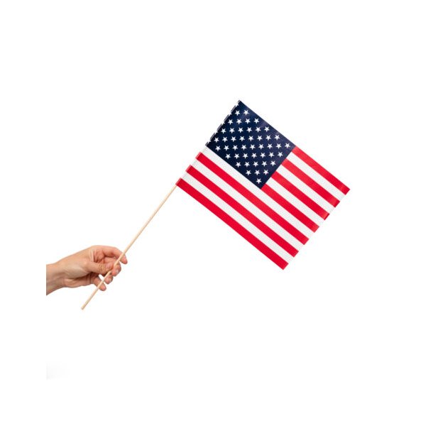Pappersflagga p pinne 10 st - USA
