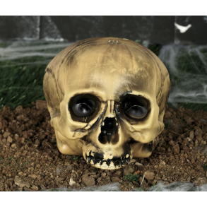 Kranie uden kbe i plastik