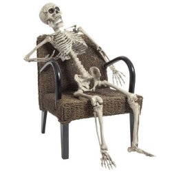 Kmpe Skelet 160 cm i kraftig plast