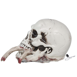 Skalle med ljud, ljus och rrelse