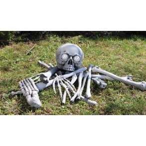 Knogler og Kranie med lys