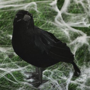 Ravn sort fugl 25 cm