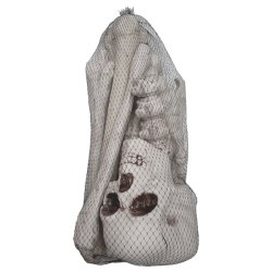 Skelet dekorationsst