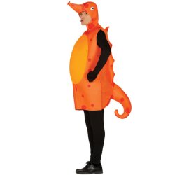 Shest Kostume Voksen  L