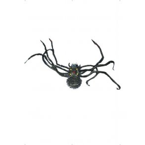 Stor edderkop Spooky