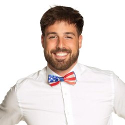 USA fluga