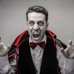 Linser i gul-sort 1d - Wolf eyes