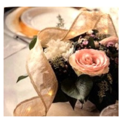 Krlbnd  i rd med lysdioder