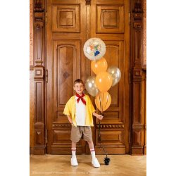 Harry Potter Folieballon - Hogwarts