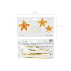 Stjerne rosetter i guld