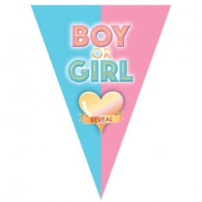 Banner BOY or GIRL