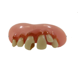 Tandst B-B Big Cletus