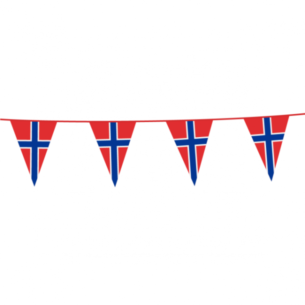 Flagbanner Norge 