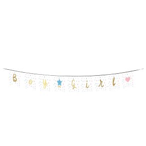 Boy or Girl banner
