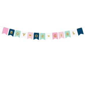  BOY or GIRL banner