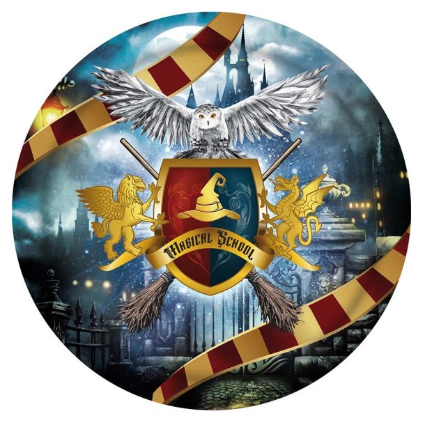 Harry Potter tallerken Magic School
