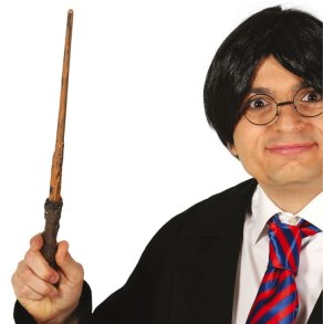 Harry Potter Tryllestav 