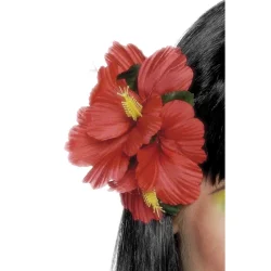 Hawaii hrspnne - blomma - rd