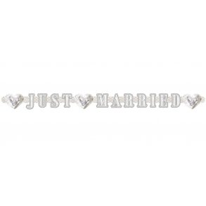  Just Married karton banner