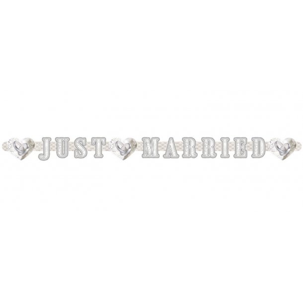  Just Married karton banner