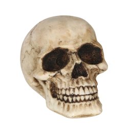 Kranie - Polyresin 8cm