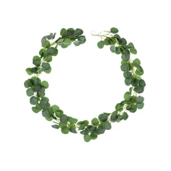 Bladranke i plast- Eucalyptus