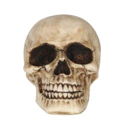 Kranie - Polyresin 8cm