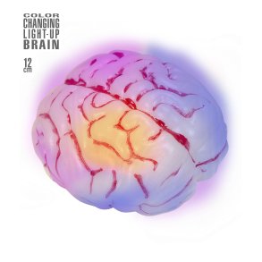 Hjerne i plastik med lys