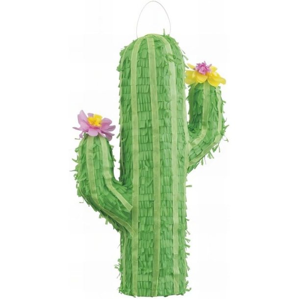 Pinata Kaktus