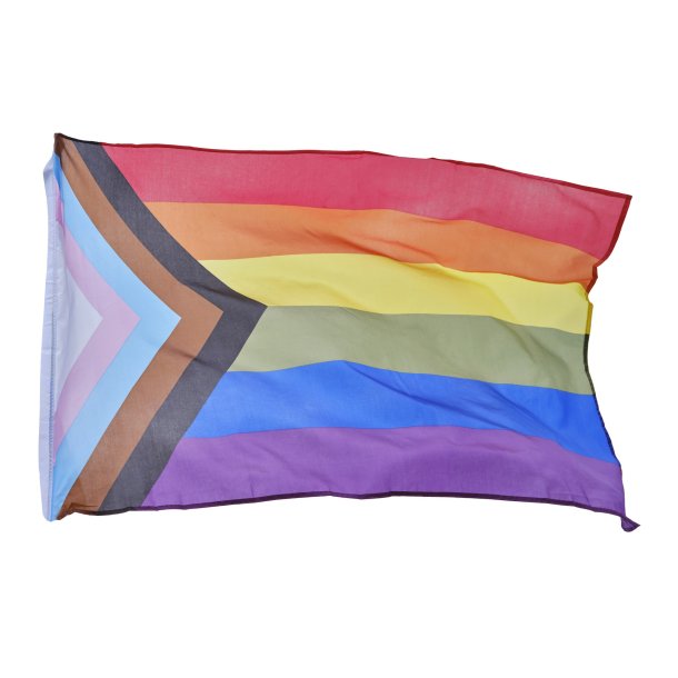 Progress regnbue Flag 90x150