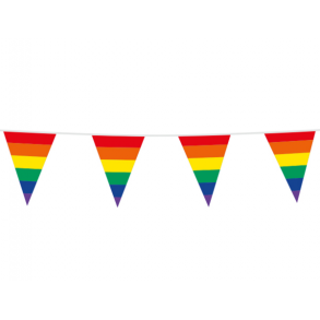 Rainbge Flagga banner