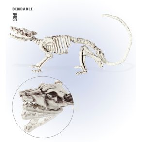 Skelet rotte 38 cm