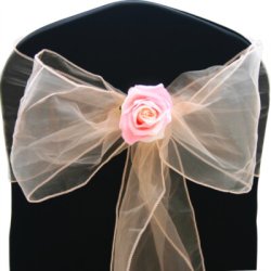 Stolesljfe i ferskenfarvet organza