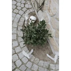 Skelet dekoration 5 dele