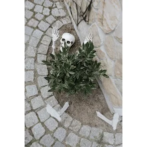 Skelet dekoration 5 dele