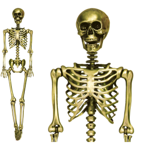 Guld Skelet - 90 cm 