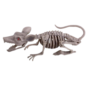 Skelet rotte med lys i jnene