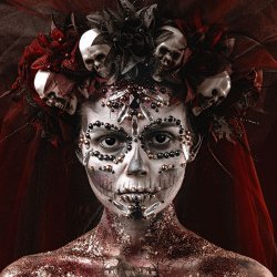 Linser Sort  the dark eye