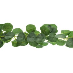 Bladranke i plast- Eucalyptus