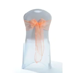 Stolesljfe i ferskenfarvet organza