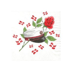 Studenter servietter med hue i vinrd