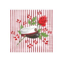 Studenter servietter med hue Rdstribet